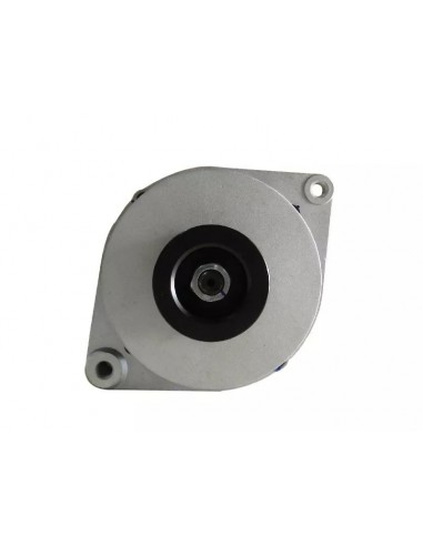 Alternadores Vw 13180 / 15180 / 16210...