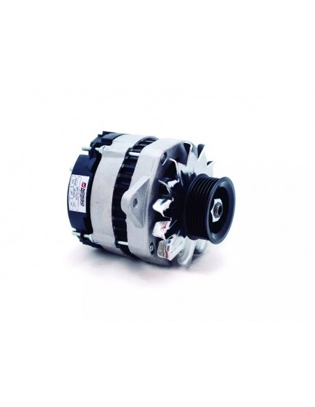 Alternadores Renault R19 - 12v 70a