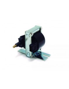 Bobina De Ignicion R19 /...