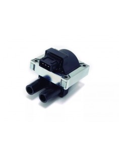 Bobina De Ignicion Laguna /...