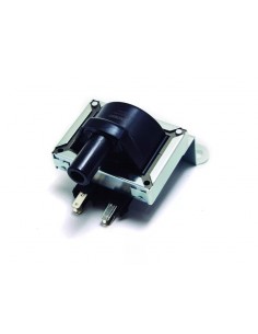 Bobina De Ignicion...