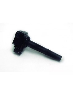 Bobina De Ignicion Land...