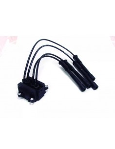 Bobina De Ignicion Clio Ii...