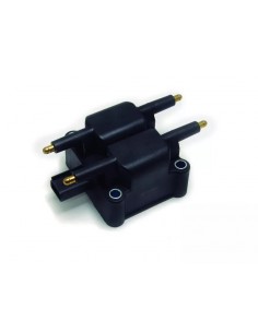 Bobina De Ignicion Neon /...