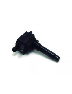 Bobina De Ignicion Sportage...