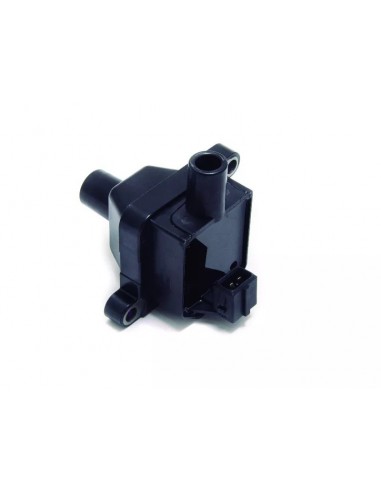 Bobina De Ignicion 145 / 146 / 155 /...