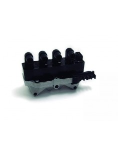 Bobina De Ignicion Palio /...