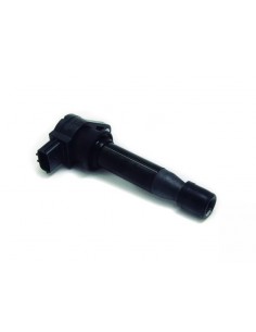 Bobina De Ignicion Brava /...