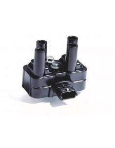 Bobina De Ignicion Palio /...