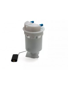 Bomba De Combustible 306...