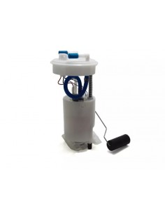 Bomba De Combustible Escort...