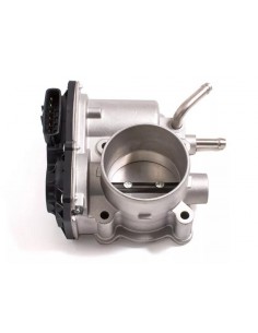 Cuerpo Mariposa Corolla...