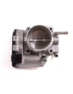 Cuerpo Mariposa Sonata /...