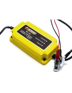 Cargador Mantenedor... 2