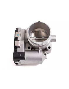 Cuerpo Mariposa Bora / Golf...