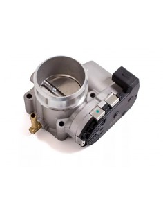 Cuerpo Mariposa Bora / Golf... 2