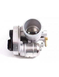 Cuerpo Mariposa Palio /...