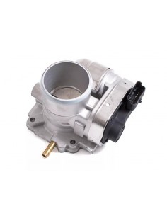 Cuerpo Mariposa Palio /... 2