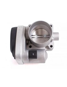 Cuerpo Mariposa Fox / Gol...