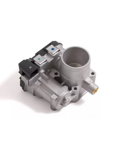 Cuerpo Mariposa Palio / Siena /... Cuerpo Mariposa Palio / Siena /...