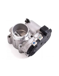 Cuerpo Mariposa Brava /... 2