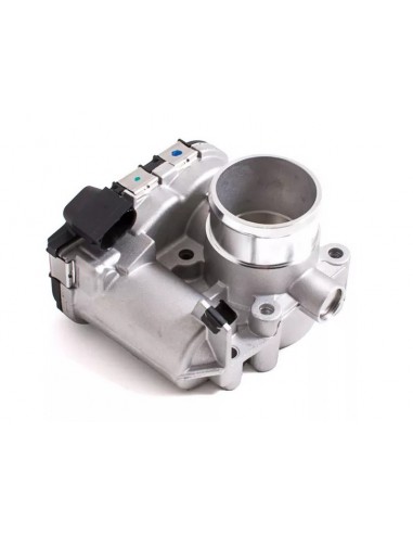 Cuerpo Mariposa Brava / Palio / Siena... Cuerpo Mariposa Brava / Palio / Siena...