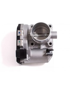 Cuerpo Mariposa Palio /...