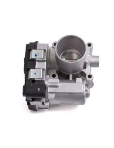 Cuerpo Mariposa Qq 1.1...