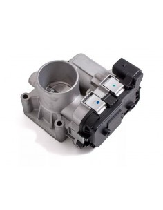 Cuerpo Mariposa Qq 1.1... 2