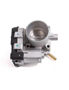 Cuerpo Mariposa Idea /...