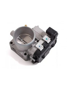 Cuerpo Mariposa Idea /... 2