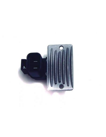 Regulador De Voltaje Kia Carnival 2.9 Tdi 99 (poong Sung) 12v 2 Terminales