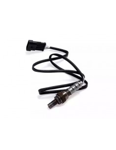 Sonda Lambda Palio / Siena...