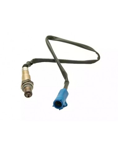 Sonda Lambda Focus / Ka 1.6 16v Sigma...