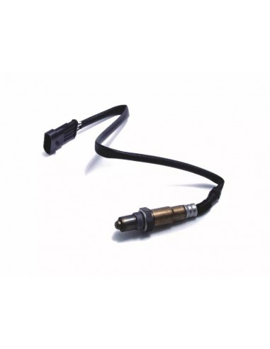 Sonda Lambda Palio / Siena Sonda Lambda Palio / Siena