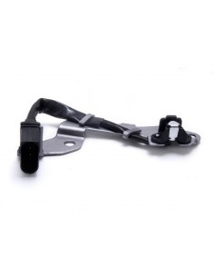 Sensor Arbol De Levas Audi...