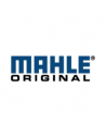 Mahle